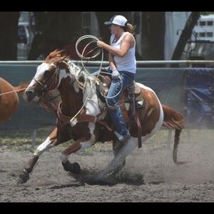 Meet your Posher, Lori